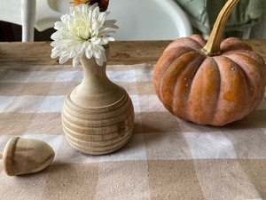 Soliflore et potiron