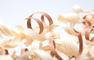 Bonne année à toutes et tous