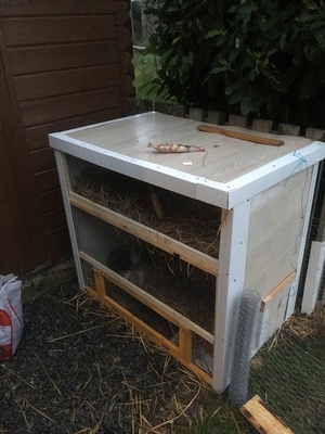 Clapier à lapins récup