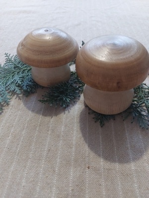 Champignons en hêtre