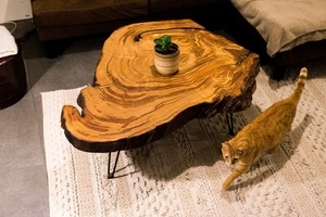 Table basse en châtaignier