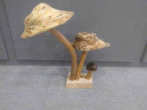 Mangeoire champignons