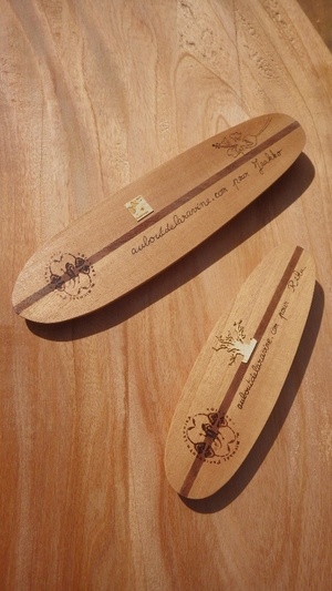 Lot de mini surf souvenirs