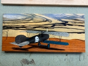 Albatros sur le front