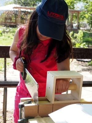 Boite à coupe sécurisée