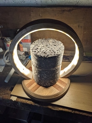 Une carotte et puis s'en va