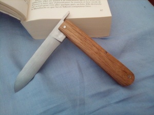 Un petit couteau sans prétentions.