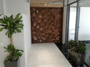 Porte et habillage au reliefs géométriques