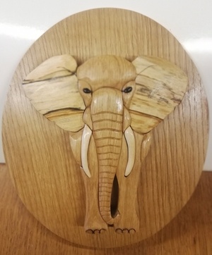 Un éléphant