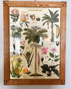 Cadre à photos / posters