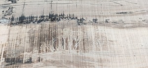 L'arbre qui cache la forêt!!! découvert sur un plot, malheureusement le motif a disparu au passage machine.