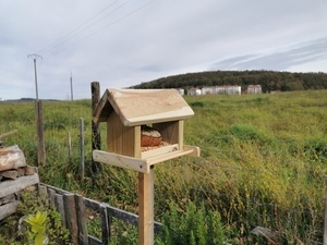 Mangeoire à oiseaux