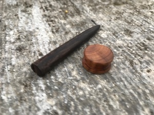 Plug et écarteur d’oreille