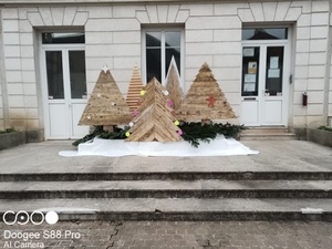 Petit foret de sapin