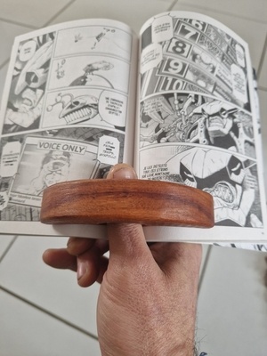 Plagiat ouvre livre 1 main xtof