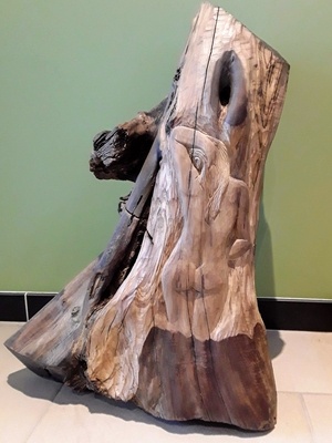 Sculpture d'un vieux pied d'olivier.