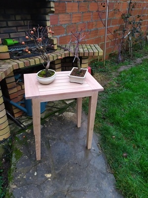Une table pour mes bonsaïs extérieurs