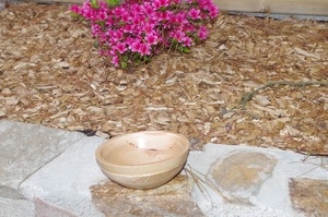 Bole en hêtre texturé