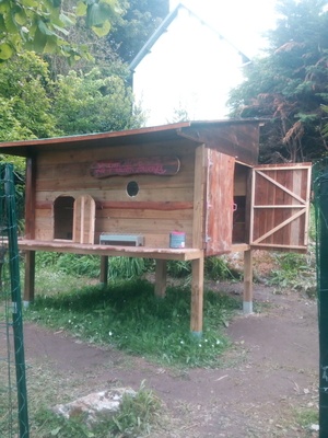 Poulailler sur pilotis