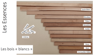 Echantillons de bois "blancs"