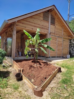 Cabane 40 m2 Pin des Caraïbes local