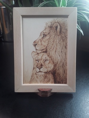 Le lion et la lionne