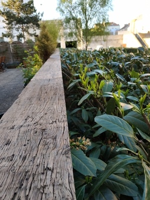 Rambarde cache misère