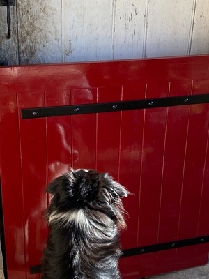 Un petit volet bas pour la porte d'entrée ...!