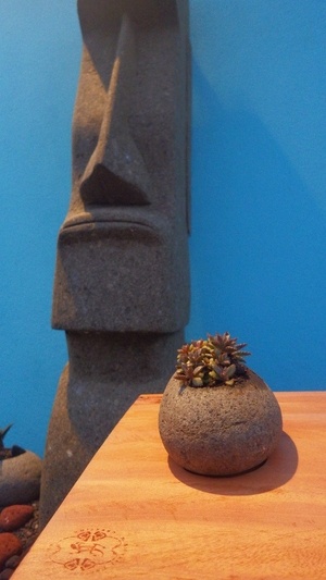 Variations autour d'un bois