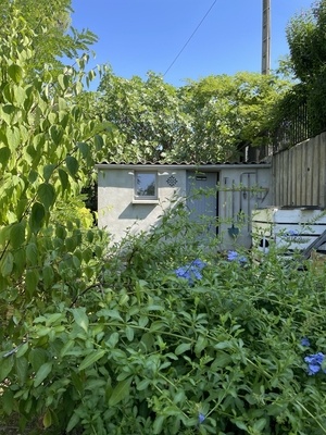 La caverne de l'ours