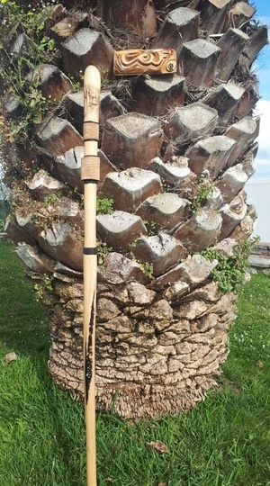 Berger et montagne des Pyrénées