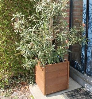 Que faire d'un ancien plancher ?