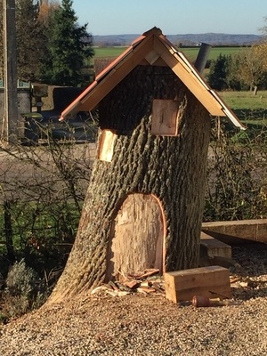 Hommage à mon chêne