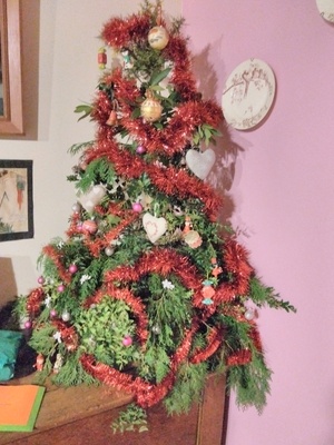 Un sapin transgénique