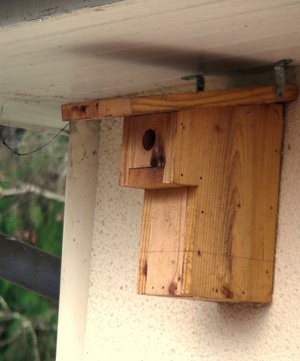 Nichoir pour mésanges