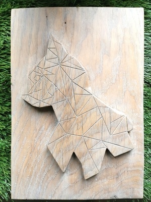 Chat... Presque loup