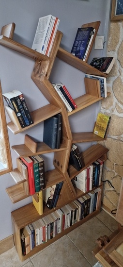 Bibliothèque en orme