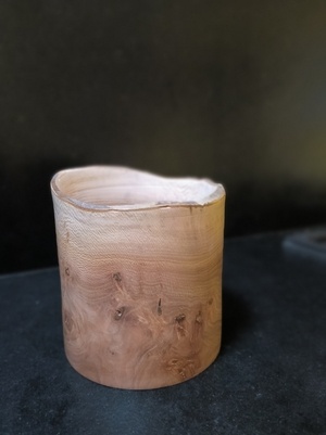 Un pot de platane noueux