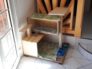 Maison arbre à chat