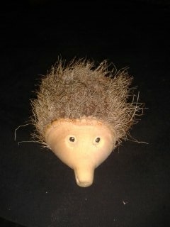 Hérisson tourné