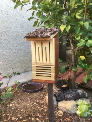 Cabane à papillons et coccinelles