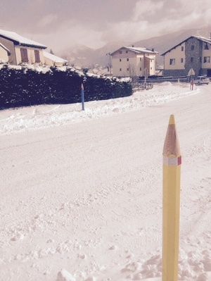 Poteaux bord de route