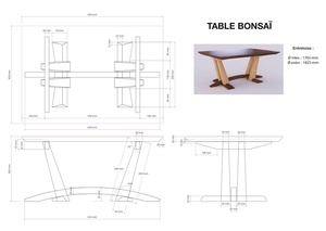 Petite table pour bonsaï