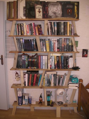 Etagère bibliothèque recyclage