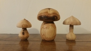 Champignons