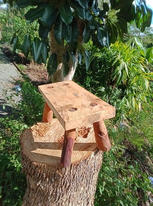 Petit banc de jardinage