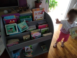 La bibliothèque d'Aliénor