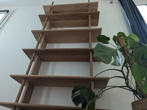 Bibliothèque, une semaine chrono