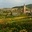 AtelierArboisien