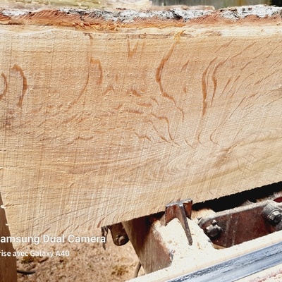 Bois encore sur banc de scie, débit sur quartie